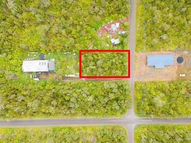 Build your dream home on this front lot lush with ginger and - photo 6
