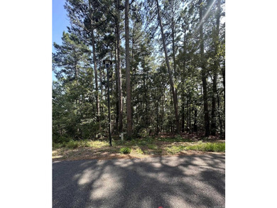 Additional listing photo 1