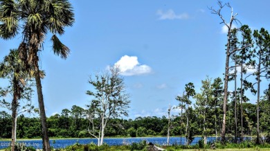 Lake Acreage For Sale in Palatka, Florida