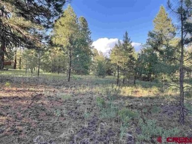 Hatcher Reservoir Lot For Sale in Pagosa Springs Colorado
