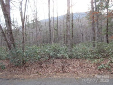 Lake Lot For Sale in Lake Lure, North Carolina