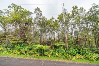 Build your dream home on this wooded large back flag lot with - photo 4