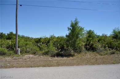 Lehigh Acres Area Lot For Sale in Lehigh Acres Florida