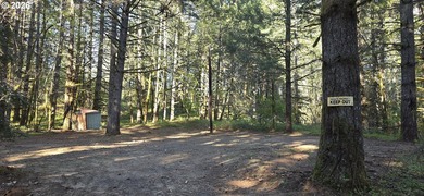 Want that gorgeous wood acreage in the foothills of the Oregon - photo 11