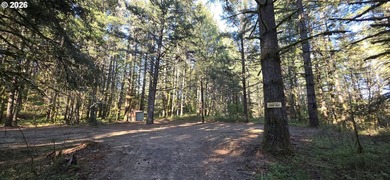 Want that gorgeous wood acreage in the foothills of the Oregon - photo 12