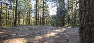 Want that gorgeous wood acreage in the foothills of the Oregon - photo 13