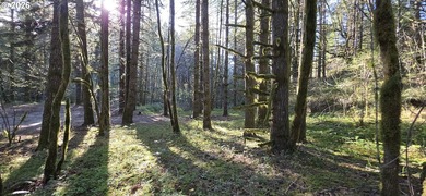 Want that gorgeous wood acreage in the foothills of the Oregon - photo 14