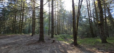 Want that gorgeous wood acreage in the foothills of the Oregon - photo 15