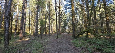 Want that gorgeous wood acreage in the foothills of the Oregon - photo 16