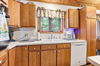 Lakefront Living on Castle Rock Lake - Rustic Charm! Experience - photo 16
