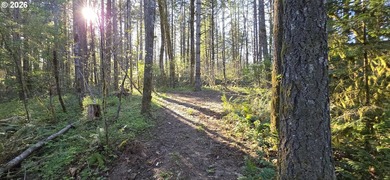 Want that gorgeous wood acreage in the foothills of the Oregon - photo 17