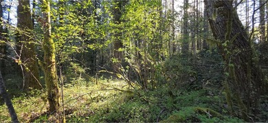 Want that gorgeous wood acreage in the foothills of the Oregon - photo 18