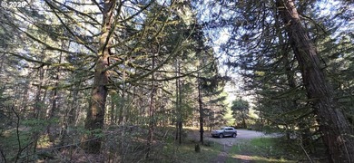Want that gorgeous wood acreage in the foothills of the Oregon - photo 22