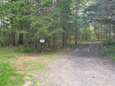 Want that gorgeous wood acreage in the foothills of the Oregon - photo 24