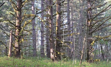 Want that gorgeous wood acreage in the foothills of the Oregon - photo 26