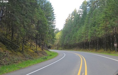 Want that gorgeous wood acreage in the foothills of the Oregon - photo 27