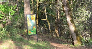 Want that gorgeous wood acreage in the foothills of the Oregon - photo 32