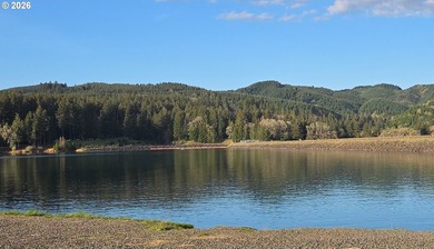 Want that gorgeous wood acreage in the foothills of the Oregon - photo 33