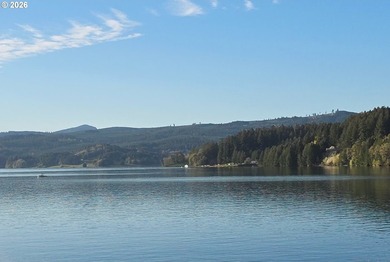 Want that gorgeous wood acreage in the foothills of the Oregon - photo 34