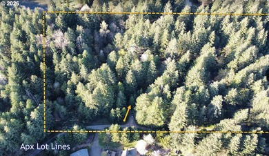 Want that gorgeous wood acreage in the foothills of the Oregon - photo 36