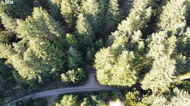 Want that gorgeous wood acreage in the foothills of the Oregon - photo 37