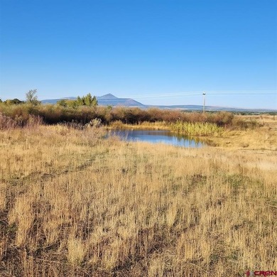 (private lake, pond, creek) Lot For Sale in Dolores Colorado