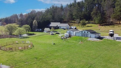 Lake Home For Sale in Blairsville, Georgia