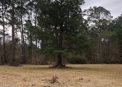 This Beautiful 3 Acre Parcel Is The Perfect Location To Build - photo 2