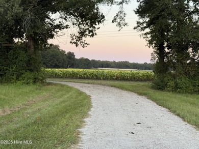 (private lake, pond, creek) Lot For Sale in Pollocksville North Carolina