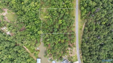 Beautiful building lot with Weiss Lake access common lot with - photo 11