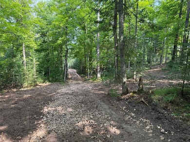 Rare opportunity on Long Lake! Discover this exceptional 0 - photo 17
