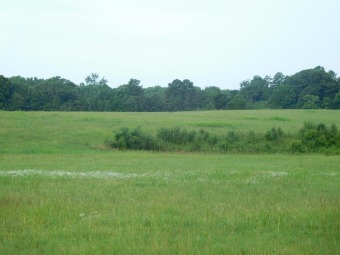 (private lake, pond, coastal) Commercial For Sale in Gaffney South Carolina