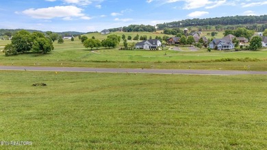Watts Bar Lake Lot For Sale in Loudon Tennessee