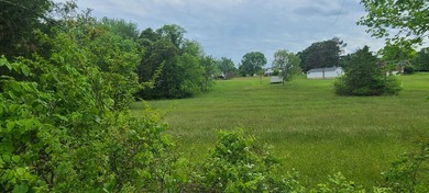Prime Building Lot in Hardy, VA - Ideal for Your Dream Home This - photo 1