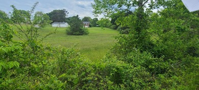 Prime Building Lot in Hardy, VA - Ideal for Your Dream Home This - photo 2