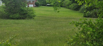 Prime Building Lot in Hardy, VA - Ideal for Your Dream Home This - photo 5
