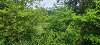 Prime Building Lot in Hardy, VA - Ideal for Your Dream Home This - photo 6
