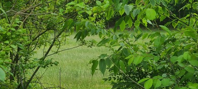 Prime Building Lot in Hardy, VA - Ideal for Your Dream Home This - photo 7