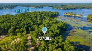 Lake Lot For Sale in Defuniak Springs, Florida