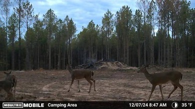 Lake Acreage For Sale in Antlers, Oklahoma