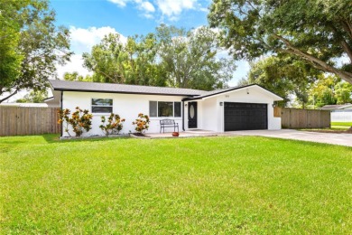 Keene Lake Home Sale Pending in Largo Florida