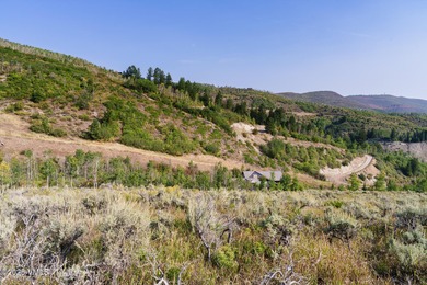 Build Your Dream Mountain Retreat in Cordillera! This desirable