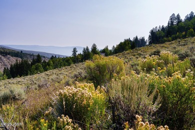 Build Your Dream Mountain Retreat in Cordillera! This desirable