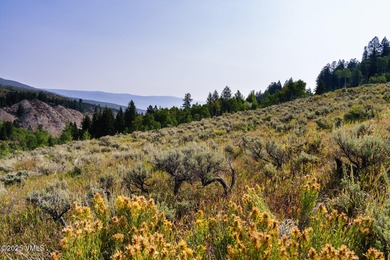 Build Your Dream Mountain Retreat in Cordillera! This desirable