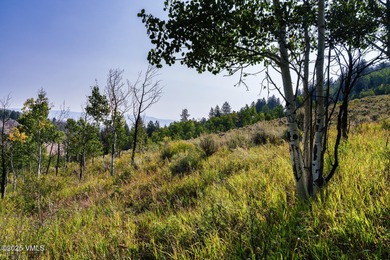 Build Your Dream Mountain Retreat in Cordillera! This desirable