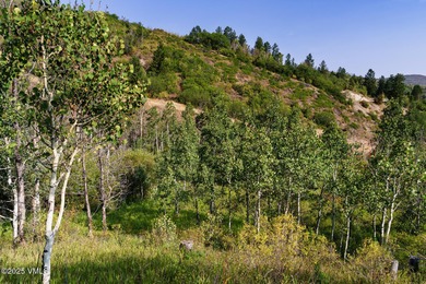 Build Your Dream Mountain Retreat in Cordillera! This desirable