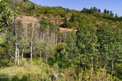 Build Your Dream Mountain Retreat in Cordillera! This desirable