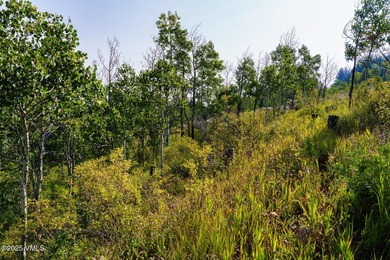 Build Your Dream Mountain Retreat in Cordillera! This desirable