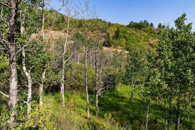 Build Your Dream Mountain Retreat in Cordillera! This desirable