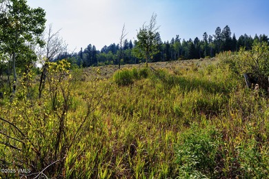 Build Your Dream Mountain Retreat in Cordillera! This desirable